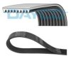 DAYCO 9PK2295HD V-Ribbed Belts
